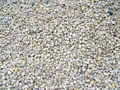 Coastal White Gravel 20 mm
