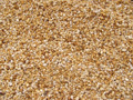 Coastal Gold Gravel 20 mm