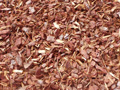 Pine Bark