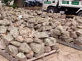 Leichhardt Bush rock