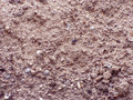 Bulk Potting Mix