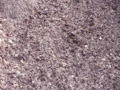 Ultimate Garden Soil