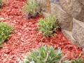 Red Woodchip