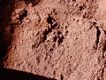 Uluru Gravel