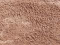 Brown Sandy Loam