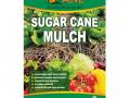 Sugar Cane Mulch