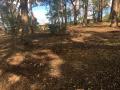 Kahibah Public School. Aboriginal Cultural & Yarning Area. Sandstone Blocks / Decorative River Gravel / Leaf Mulch / Natural  Sandstone