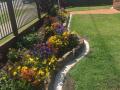 Evans Street Belmont Bush Rock Garden Edging / Concrete Mowing Edges / Ultimate Garden Soils For Shrubs And Flowers