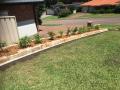 Valentine Garden. Excavatiions, sandstone edging, concrete mowing edges, organic soils, Lilly Pilly 'Cascade' hedge, woodchip mulch