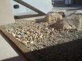 Holy Family School Merewether River Stone Garden / Sandstone Edging And Garden / Crushed Granite Bike Rack Area